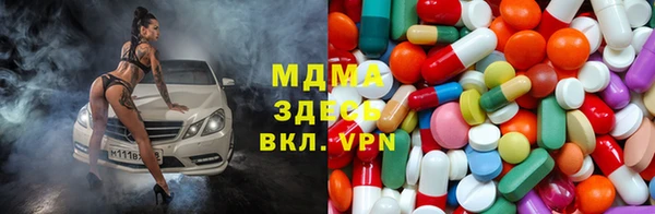 стаф Алексин