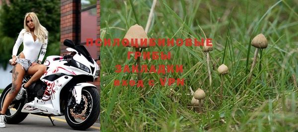прущая мука Алзамай