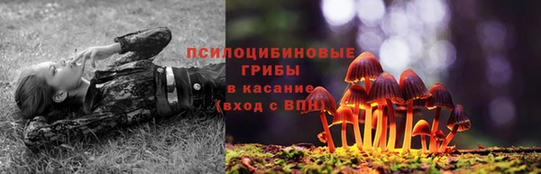 стаф Алексин