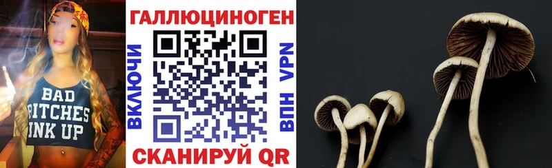 Псилоцибиновые грибы GOLDEN TEACHER  Тосно 