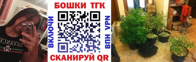 mega как войти  где продают наркотики  Тосно  Конопля VHQ 
